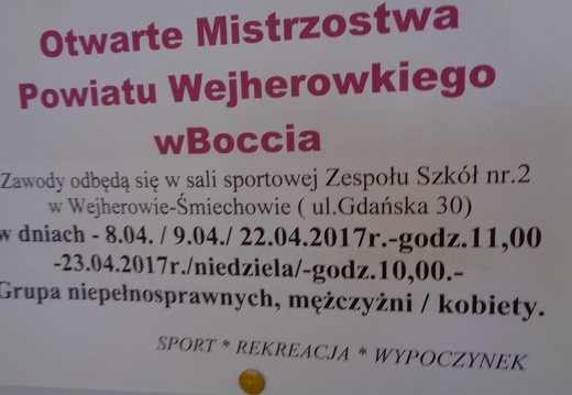 Boccia - Otwarte Mistrzostwa Powiatu Wejherowskiego 2017